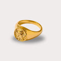 Anel-Banhado-a-Ouro-18K-Angel-Delicatta